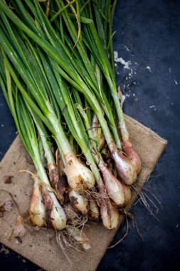 Bir tabloda yeşil soyulmuş soğan bir demet