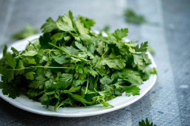 Yıkanmış maydanoz yaprakları bir plaka üzerinde