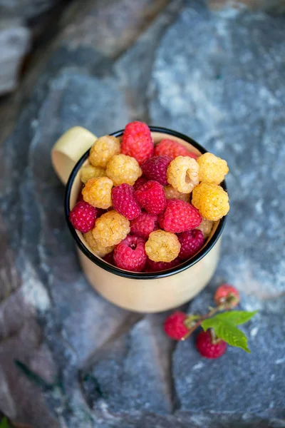 Red Yellow Raspberries Cup — Stock Photo, Image