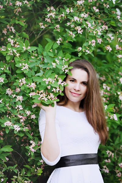 忍冬咲く春の庭で美しい女性 — ストック写真