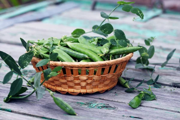 Green Peas Basket Old Table — Stock Photo, Image