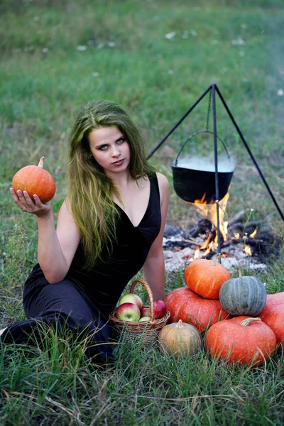 Witch Preparing Potion Meadow — Stock Photo, Image