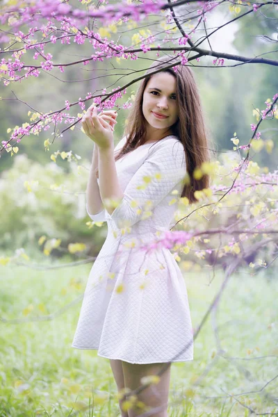 Beautiful Woman Spring Garden Blossoming Tree Royalty Free Stock Images