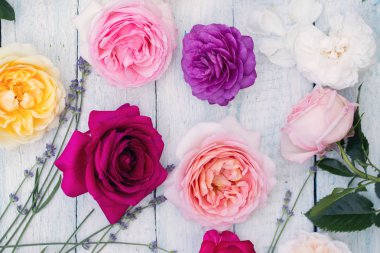 Güzel çok renkli gül ' üstten görünüm koleksiyonu