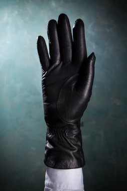 Kadın elinde bir güzel deri eldiven