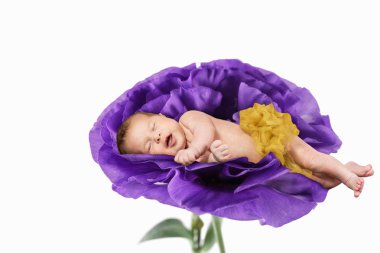 büyük bir çiçek yeni doğmuş bir bebek uyur
