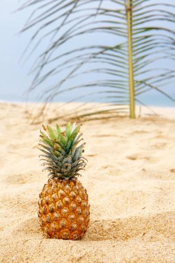 ananas arka planda bir palmiye yaprağı