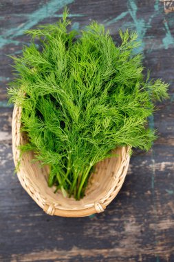 koyu arka plan üzerinde taze dereotu demet