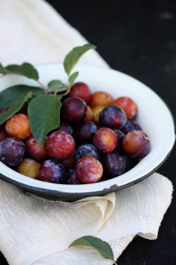 Bir kase içine taze ekolojik mavi Erik