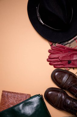 Bej renkli arka plan üzerinde sonbahar öğe koleksiyonu