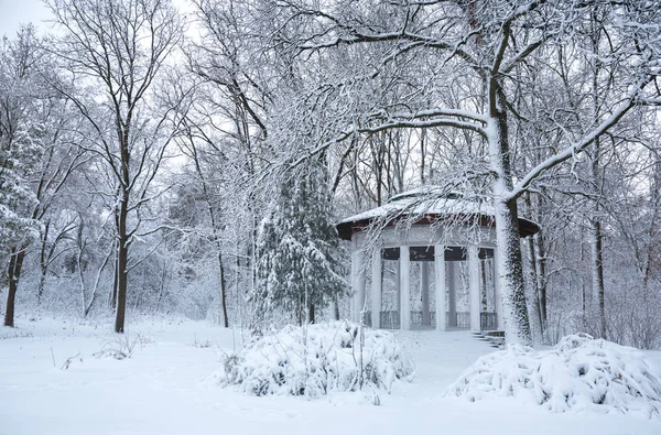 公園の雪に覆われた美しい冬の風景 — ストック写真
