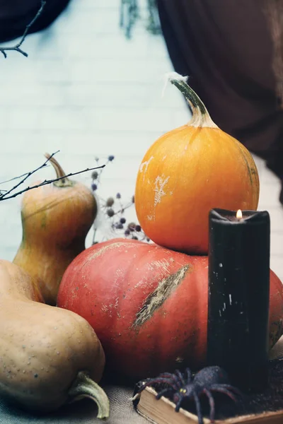 Bodegón Halloween Con Calabazas Captura Estudio — Foto de Stock