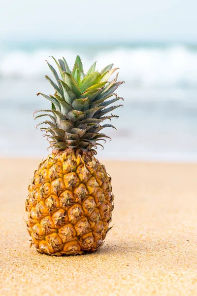 Reife Ananas Auf Dem Goldenen Sand Meer — Stockfoto