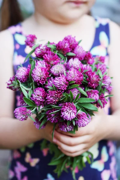 Mooie Bouquet Van Veldbloemen Klaver — Stockfoto