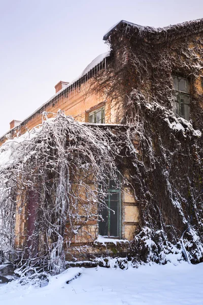 古い家編まれたリアナ 冬景色 — ストック写真