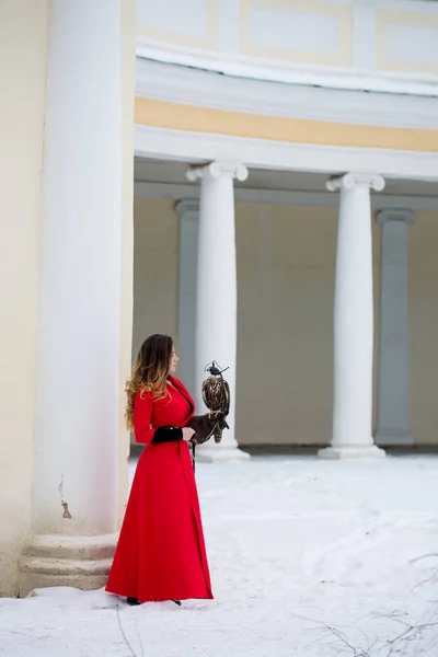 Mulher Bonita Segurando Falcão Sua Mão Inverno — Fotografia de Stock