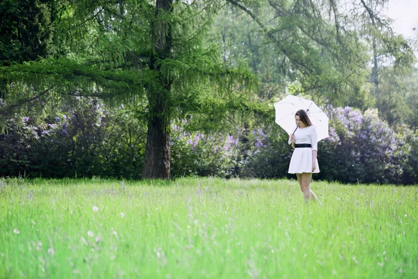 Bella Ragazza Con Ombrello Bianco Passeggiando Attraverso Prato — Foto Stock