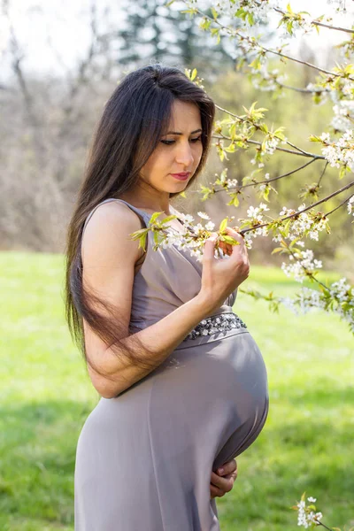Piękna Kobieta Ciąży Pobliżu Kwitnące Wiosną Drzewa — Zdjęcie stockowe