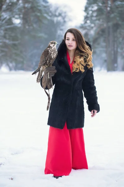 Vacker Kvinna Med Falcon Hennes Hand Vinter — Stockfoto