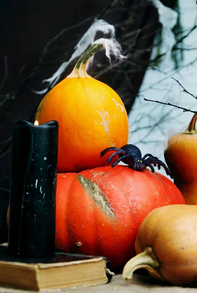 Natura Morta Halloween Con Zucche Studio Girato — Foto Stock