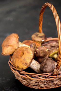 Bir kapta, rustik tarzı taze orman mantar