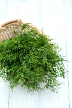 hafif bir arka plan üzerinde taze dereotu demet