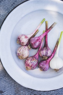 Genç, taze, mor sarımsak rustik tarzda