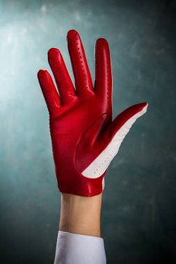 Kadın elinde bir güzel deri eldiven