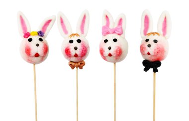 Paskalya tavşanımı beyaz bir arka plan üzerinde izole bir sopa