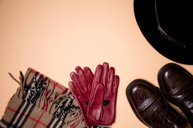 Bej renkli arka plan üzerinde sonbahar öğe koleksiyonu