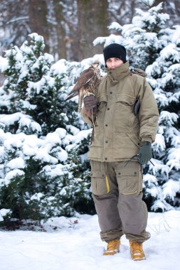 Yakışıklı delikanlı bir şahin kolunu tutan