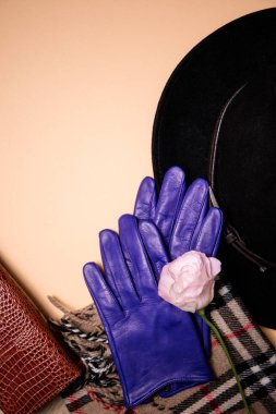 Üstten görünüm trendy sonbahar öğeler kümesi