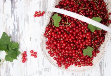 Olgun organik kırmızı kuş üzümü büyük hasır sepet