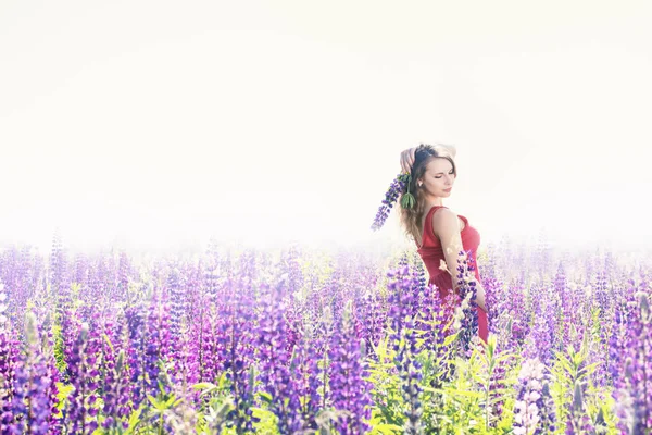 Mulher Bonita Campo Com Lupine Florescendo — Fotografia de Stock