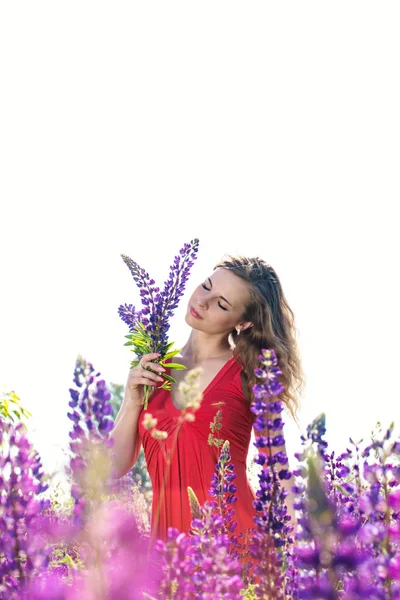 Vacker Ung Kvinna Ett Fält Med Blommande Lupiner — Stockfoto