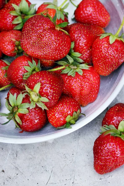 Fraises Biologiques Juteuses Fraîches Dans Une Vieille Plaquette Métallique — Photo