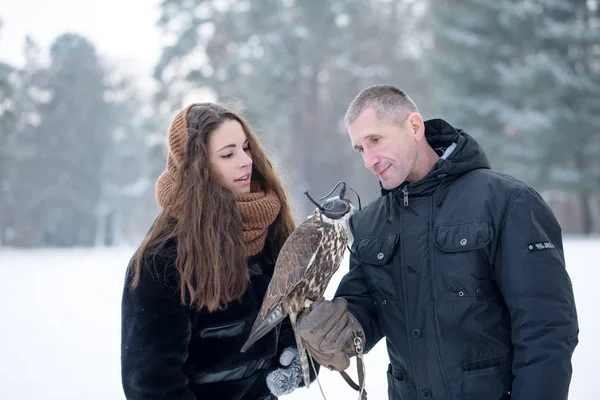 Man Och Kvinna Håller Falcon — Stockfoto