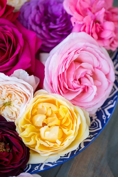 Collection of beautiful multi-colored roses, top view