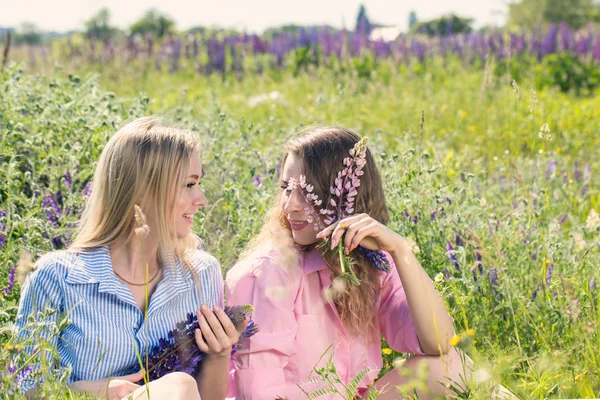 Two Friends Rest Field Summer — Stock Photo, Image