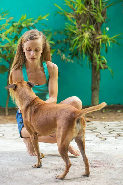 Chica Jugando Con Perro Patio — Foto de Stock