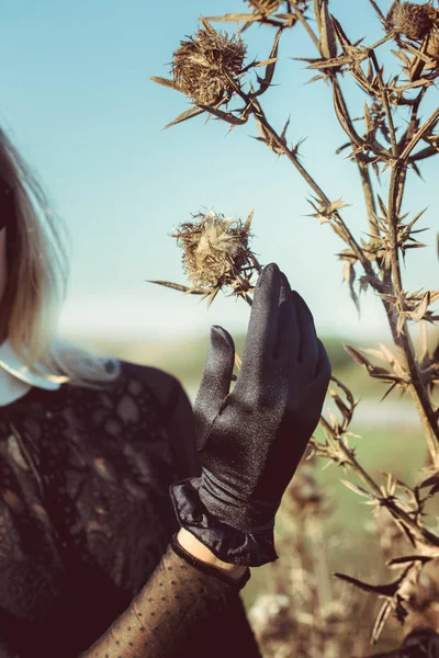 Χέρι Ένα Μαύρο Γάντι Συλλέγει Αποξηραμένα Λουλούδια — Φωτογραφία Αρχείου