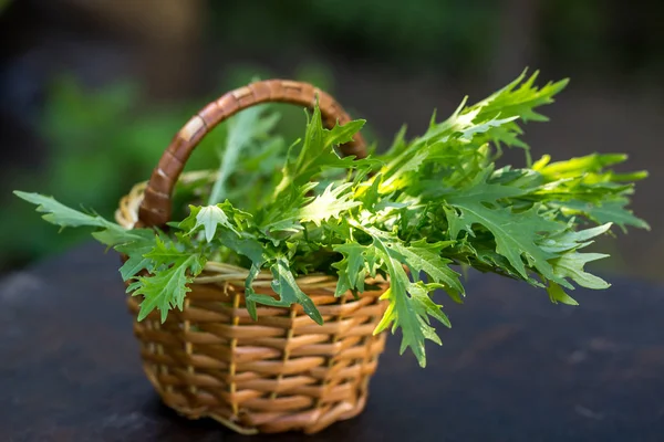 Fresh Leaves Lettuce Mustard Table — Stock Photo, Image