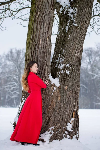 Bella Donna Pensierosa Vestito Rosso Inverno Una Foresta Innevata — Foto Stock