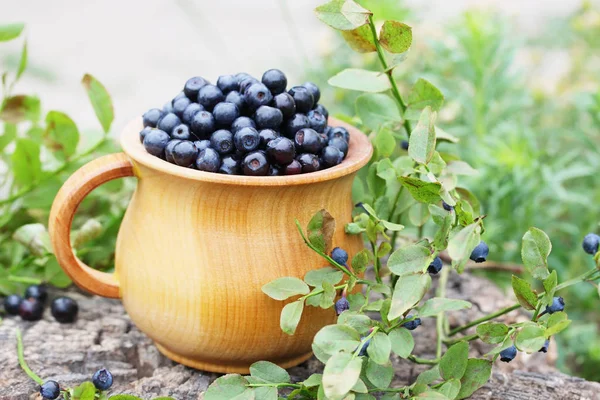 在一个大的木制碗森林蓝莓 — 图库照片