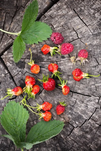 Garten Kleine Erdbeere Auf Einem Holzstumpf — Stockfoto