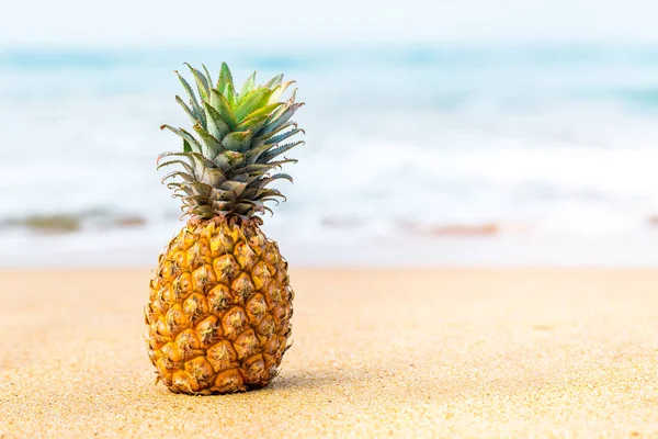 Reife Ananas Auf Dem Goldenen Sand Meer — Stockfoto