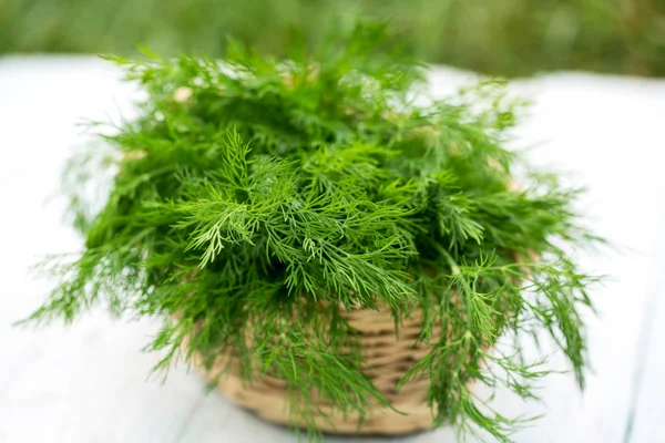 Haufen Frischer Dill Auf Hellem Hintergrund — Stockfoto