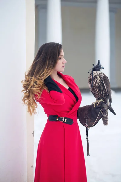 冬に彼女の手に鷹を保持している美しい女性 — ストック写真