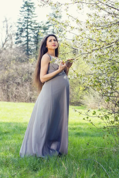 Hermosa Mujer Embarazada Cerca Florecer Árbol Primavera — Foto de Stock