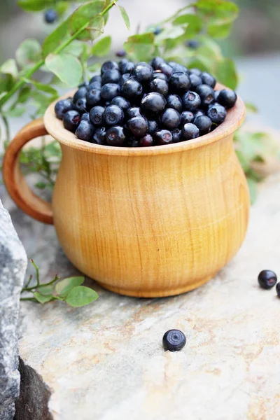 在一个大的木制碗森林蓝莓 — 图库照片